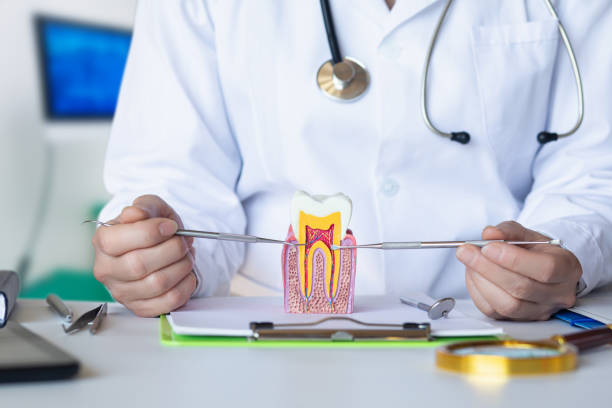Best Emergency Broken Tooth Repair in Glasco, NY